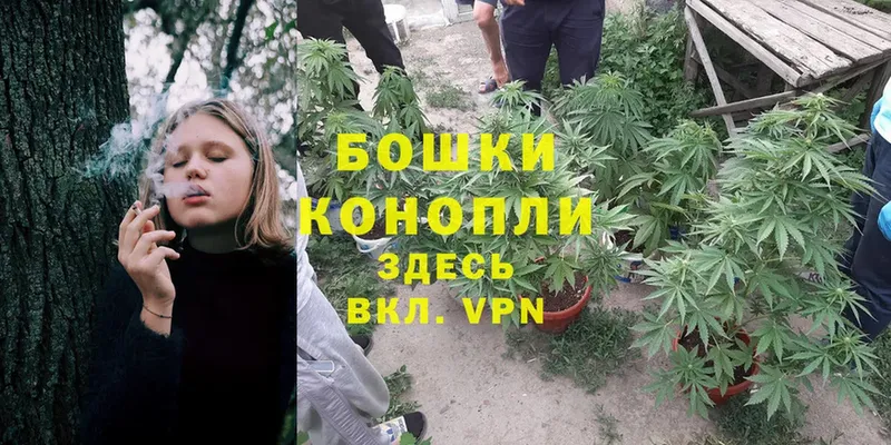 Бошки Шишки LSD WEED  Вяземский 